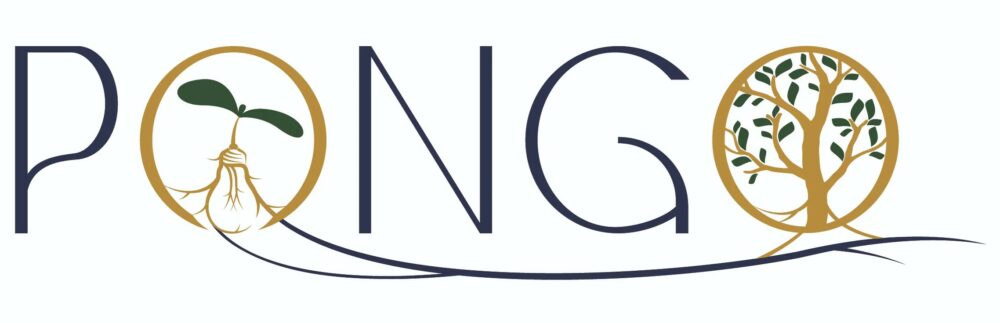 PONGO Conseil société de conseil en stratégie située dans l'Oise, proche de Beauvais