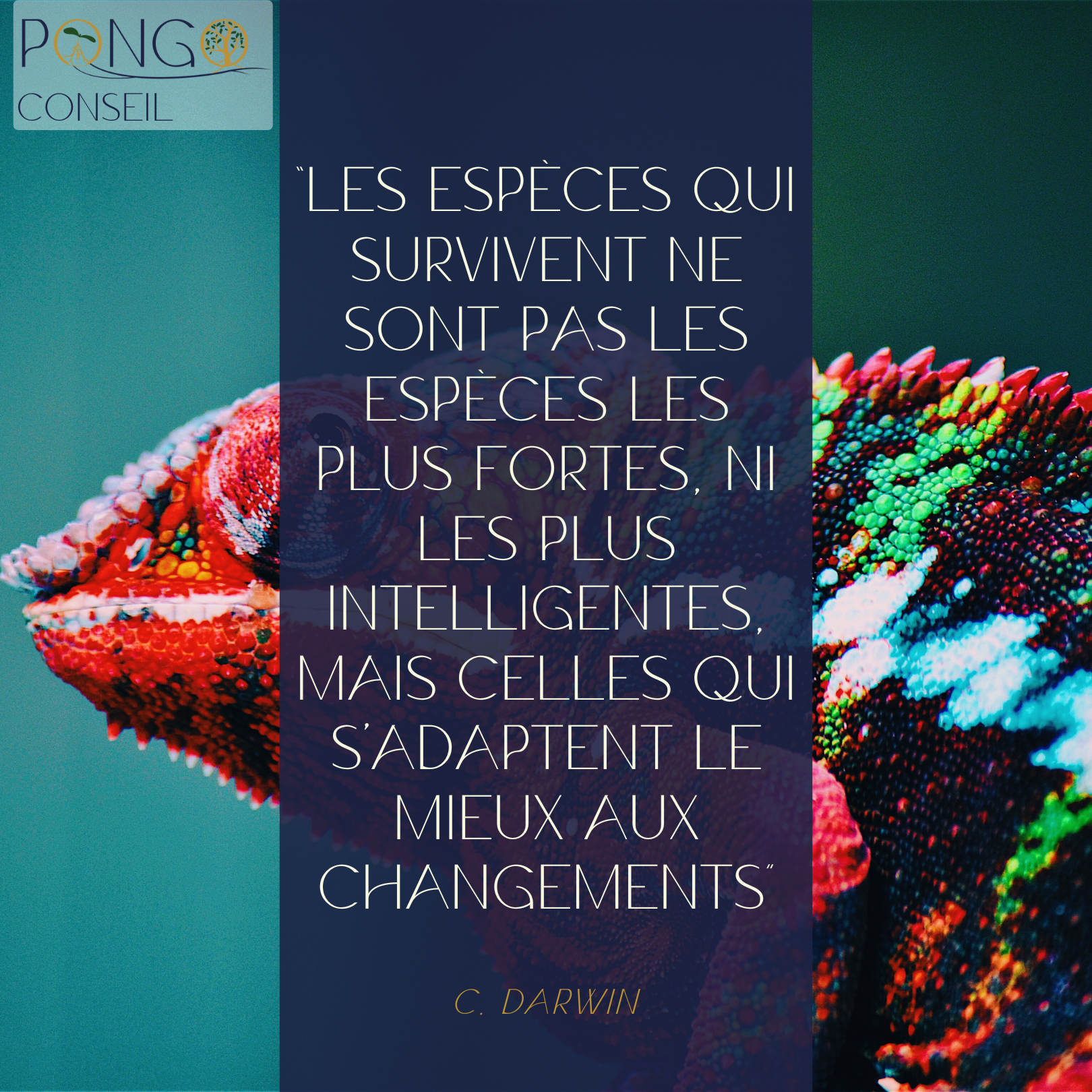 You are currently viewing Coût et déroulement d’une mission de transformation du modèle d’affaires (intégration RSE et critères extra-financiers)